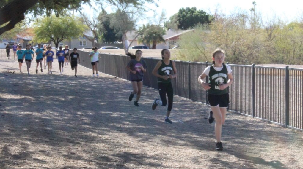 2023-24 Running cross coutry 2023-24 Running cross coutry